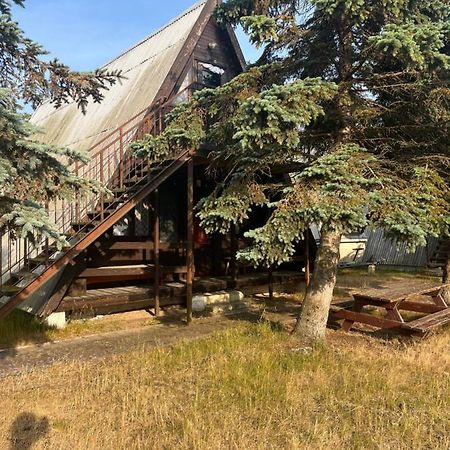 Sloneczna Osada Villa Dziwnówek Dış mekan fotoğraf